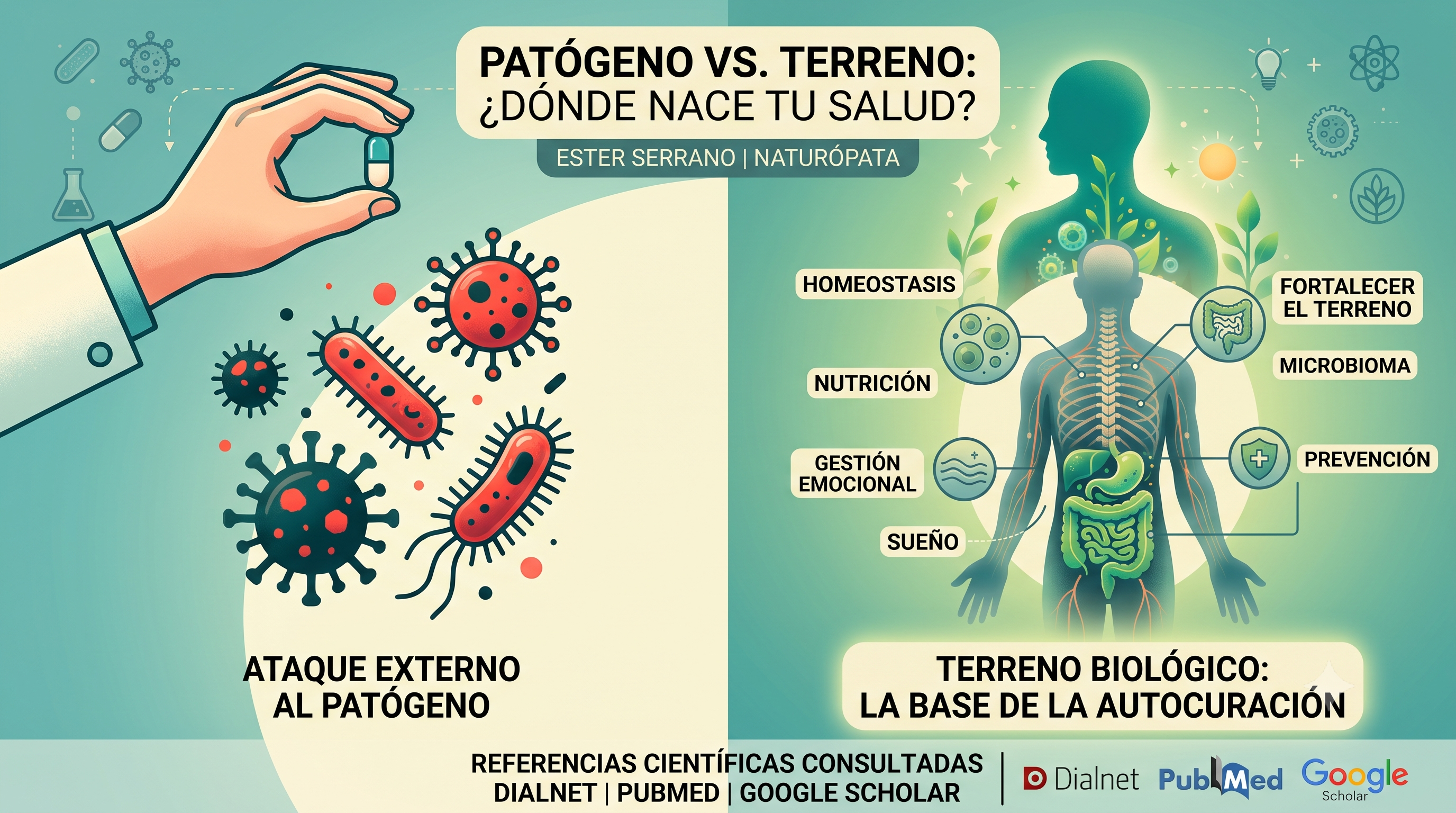 ¿Qué es la Teoría del Terreno y del Patógeno? | Ester Serrano Naturópata